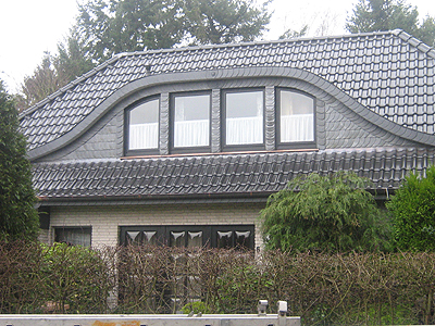 Fledermausgaube